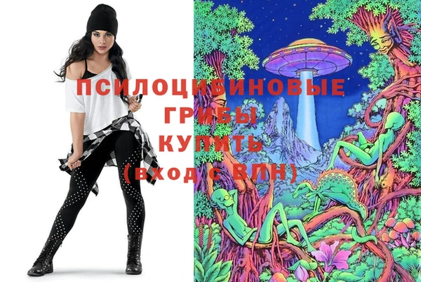 PSILOCYBIN Надым