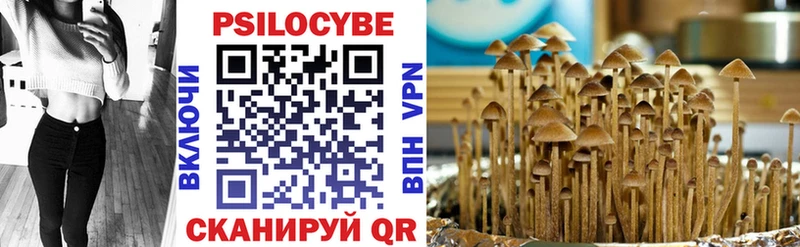 цены   Тимашёвск  Псилоцибиновые грибы ЛСД 